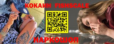Альфа ПВП Тула