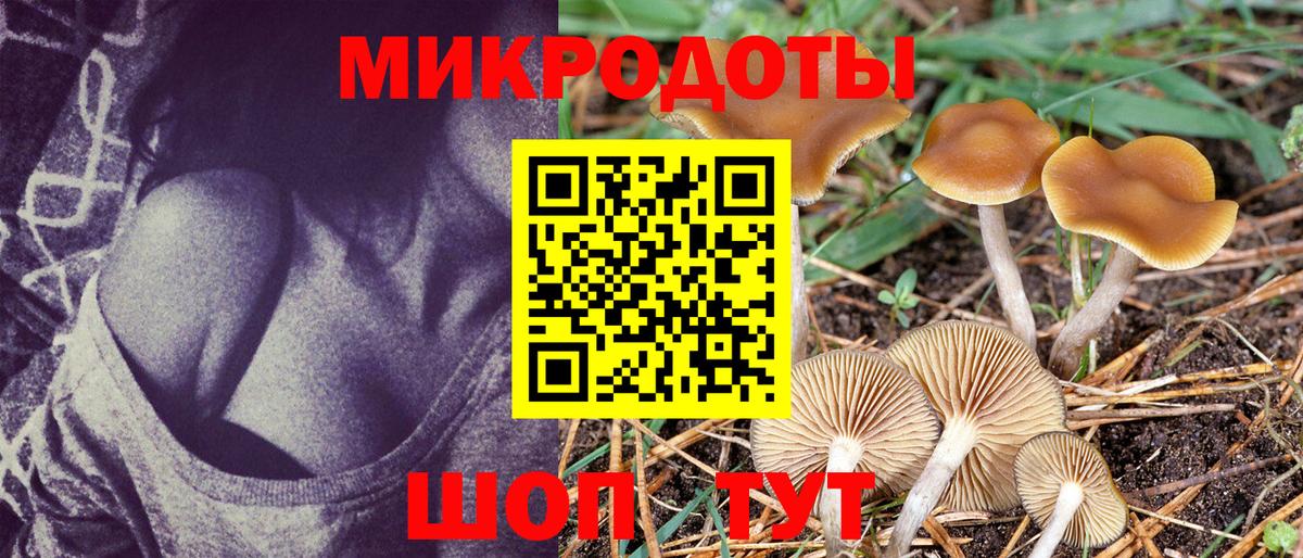 Псилоцибиновые грибы GOLDEN TEACHER  Вход с VPN  Набережные Челны 